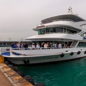 Bosphorus Cruise with Open Buffet Lunch Boat Tours and Cruises