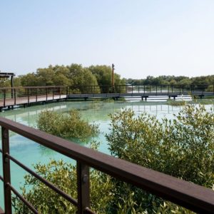 Jubail Mangrove Park - Boardwalk Experience Recently Added Experiences